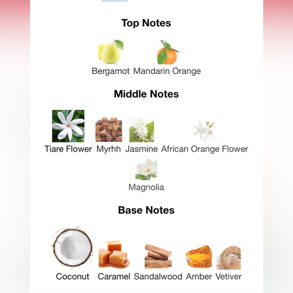 Estee Lauder Bronze Goddess Whipped Body care - Picture 3 of 3